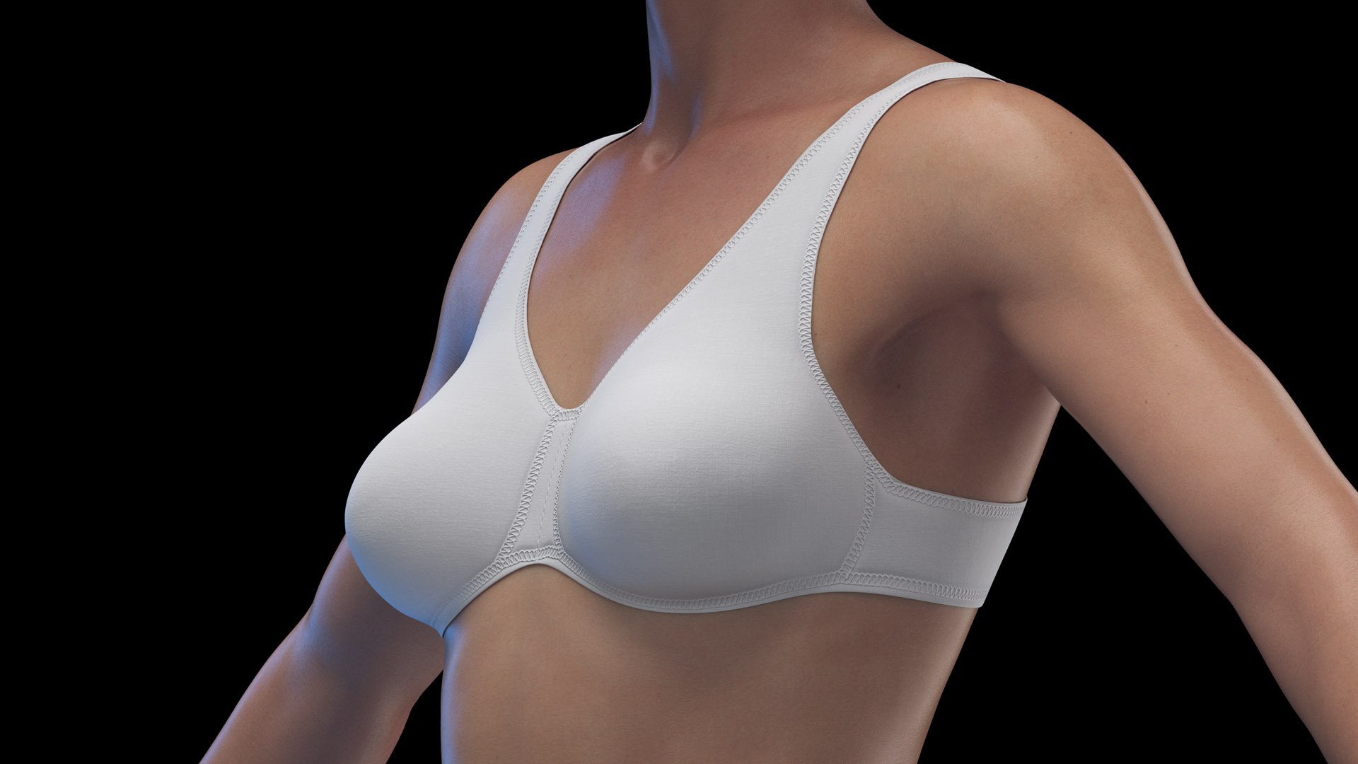 Human Female Body Skeleton and Nervous System Static 3D https://p.turbosquid.com/ts-thumb/Nr/cLQiAs/11/female_body0008/jpg/1683188146/1920x1080/fit_q87/8ae39a161124683eb5d0b3094ec33e119c4416b9/female_body0008.jpg