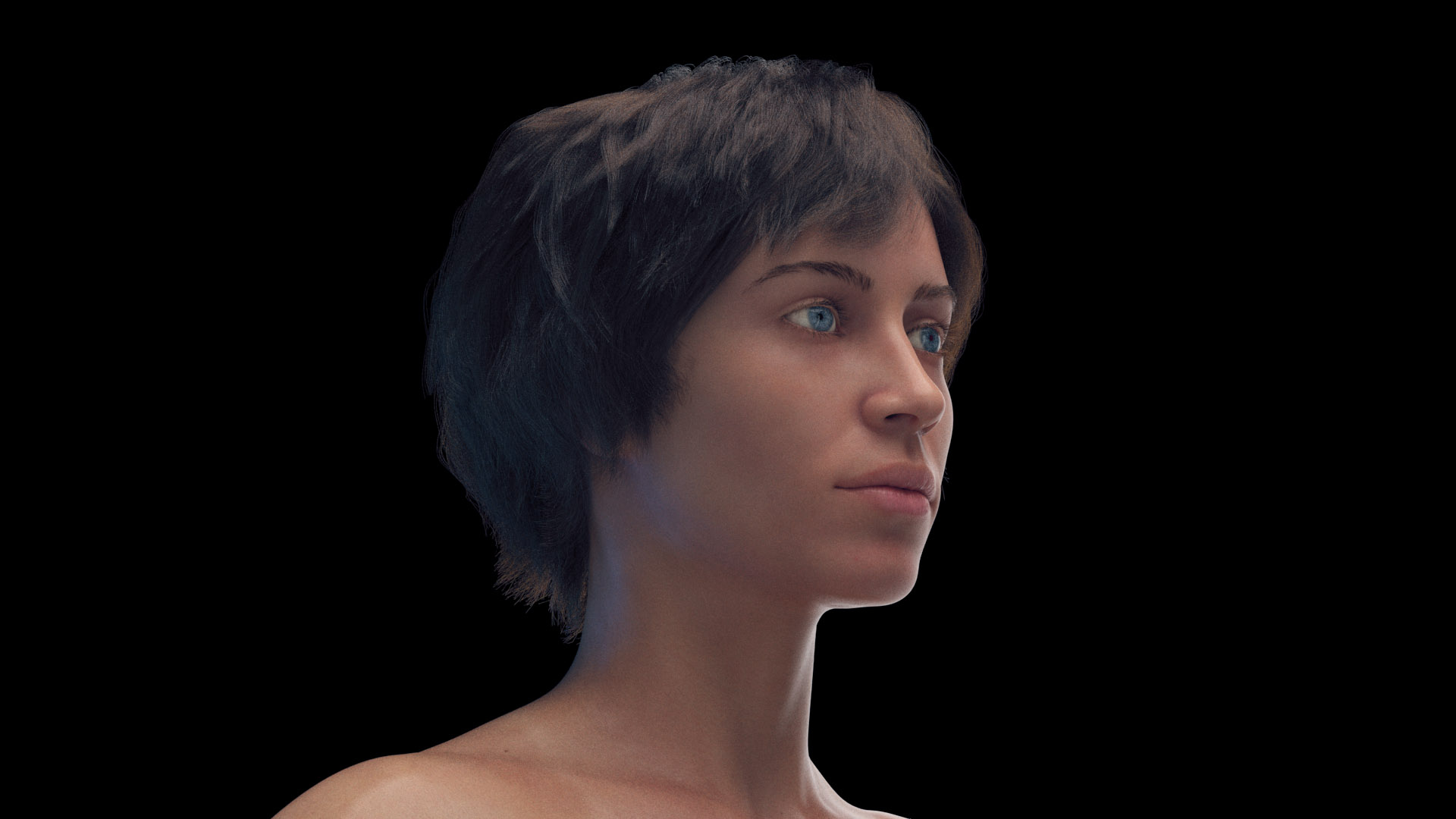 Human Female Body Skeleton and Nervous System Static 3D https://p.turbosquid.com/ts-thumb/Nr/cLQiAs/DS/female_body_naked_tt_04f/jpg/1683188839/1920x1080/turn_fit_q99/696d36ff246d7edb1d243cbaa8c0e8bafe7091d1/female_body_naked_tt_04f-1.jpg