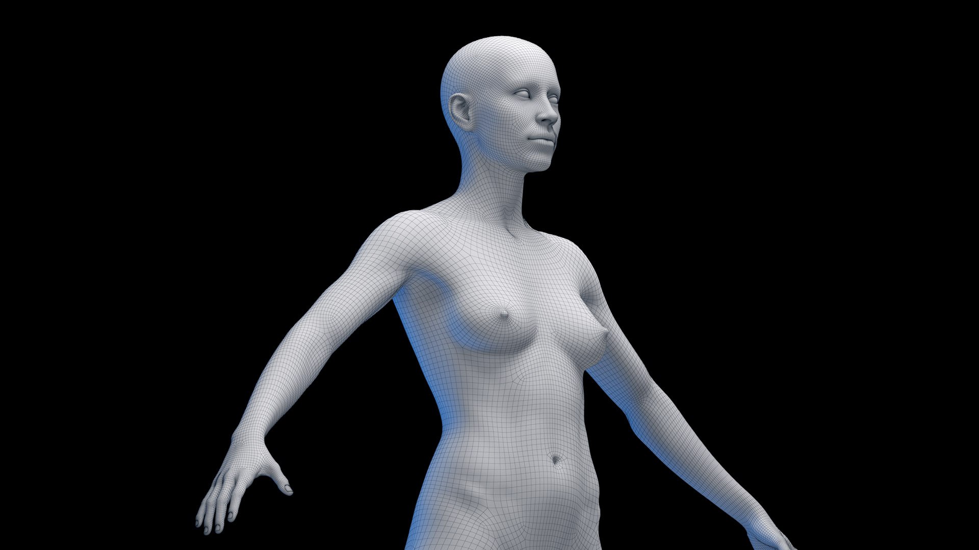 Human Female Body Skeleton and Nervous System Static 3D https://p.turbosquid.com/ts-thumb/Nr/cLQiAs/Jm/female_body_naked_wire0000/jpg/1683206710/1920x1080/fit_q87/44b35f8adbd854bf6057f3c32e78272206bd6fe7/female_body_naked_wire0000.jpg