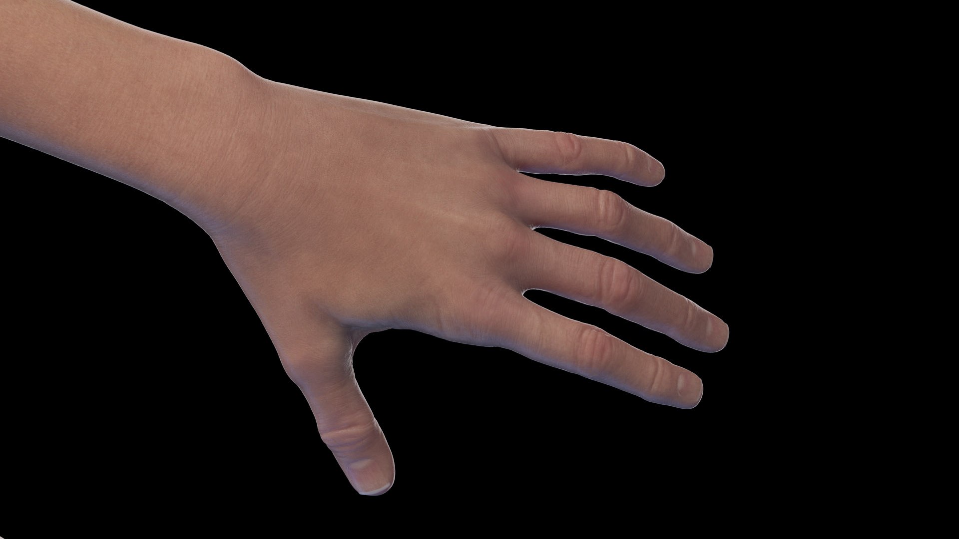 Human Female Body Skeleton and Nervous System Static 3D https://p.turbosquid.com/ts-thumb/Nr/cLQiAs/gN/female_body0007/jpg/1683188146/1920x1080/fit_q87/e8c6ea72a78251efbfa557a60ada43c60810f9cf/female_body0007.jpg