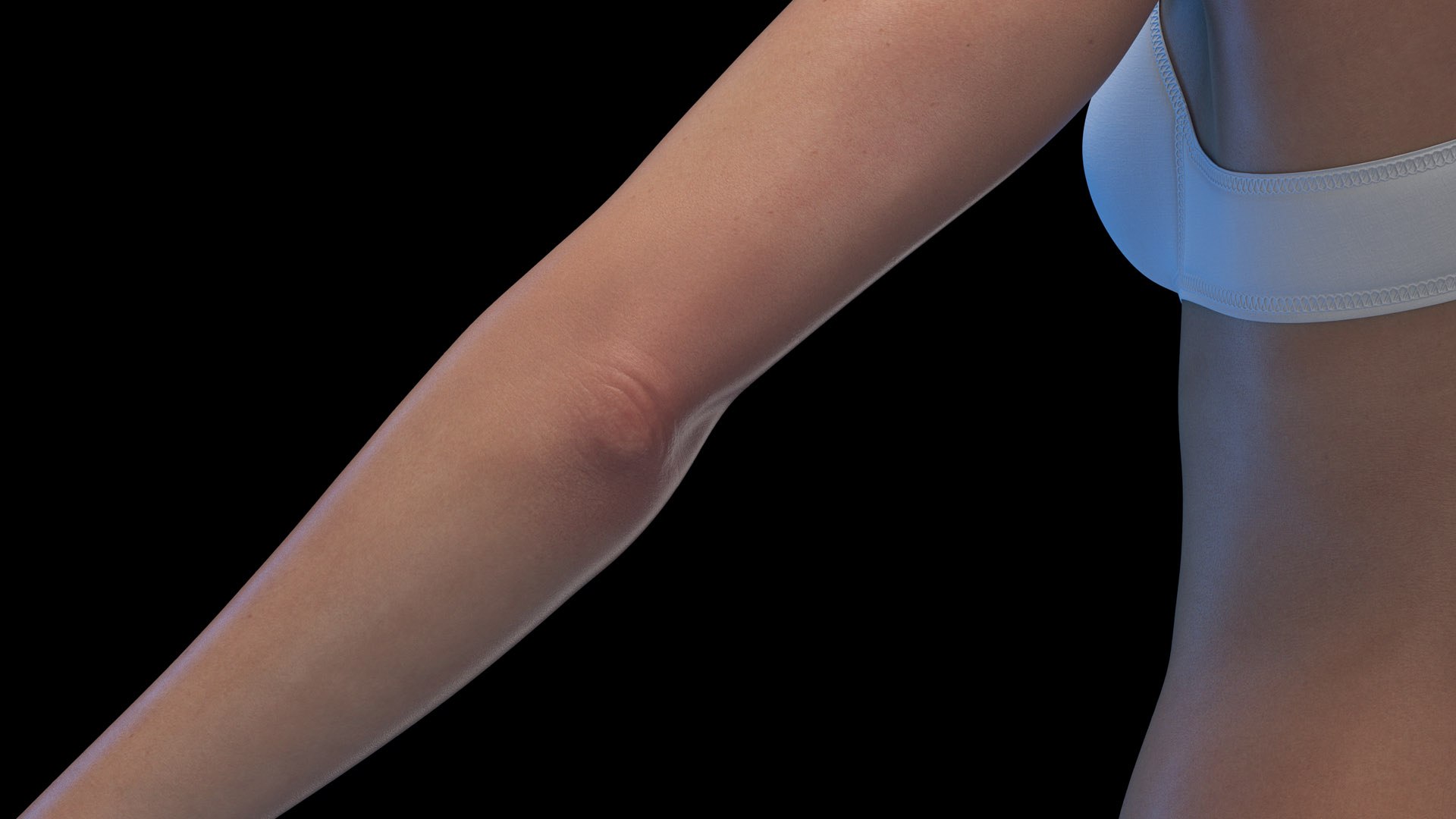 Human Female Body Skeleton and Nervous System Static 3D https://p.turbosquid.com/ts-thumb/Nr/cLQiAs/ln/female_body0013/jpg/1683188149/1920x1080/fit_q87/a607b362049de93173d4fff5f1021190f751732f/female_body0013.jpg