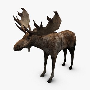 3dsmax ready games