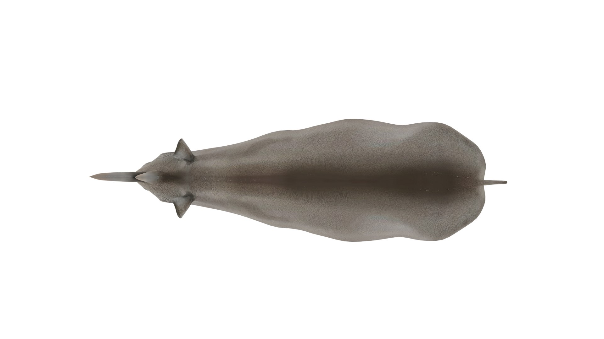 Rhinoceros 3D Model Rigged and Animated 3D model https://p.turbosquid.com/ts-thumb/Nr/jM7O1c/zb/rhino5/png/1731522494/1920x1080/fit_q87/f9a254803ede5b6e2166bbc21452db1e94c3fa01/rhino5.jpg