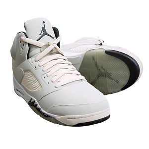 3D Air Jordan 5-retro sneaker 2