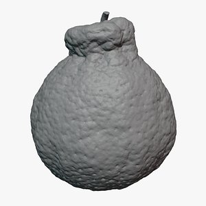 Dekopon Orange 03 for 3D Print 3D
