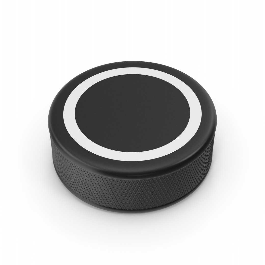 3D Ice Hockey Puck - TurboSquid 1960473