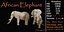 3D model African Elephant