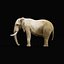3D model African Elephant