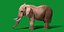 3D model African Elephant