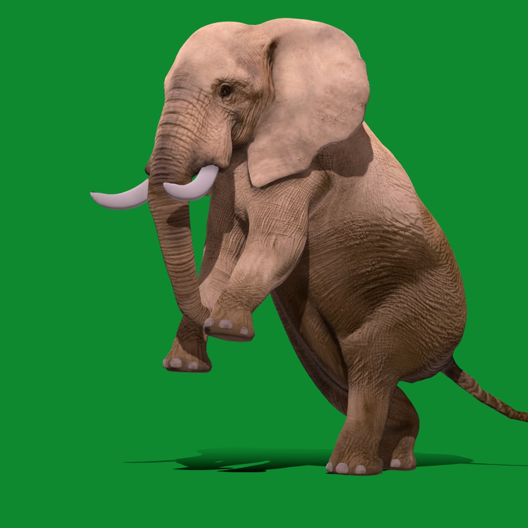 3D model African Elephant https://p.turbosquid.com/ts-thumb/Ns/4dzPjT/OI/search_image/png/1730531324/1920x1080/fit_q87/6936a3b9ae8efa04eb801b9da1dee55806de647e/search_image.jpg