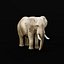 3D model African Elephant