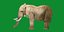 3D model African Elephant