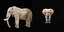 3D model African Elephant