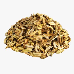 3D Fennel seeds model
