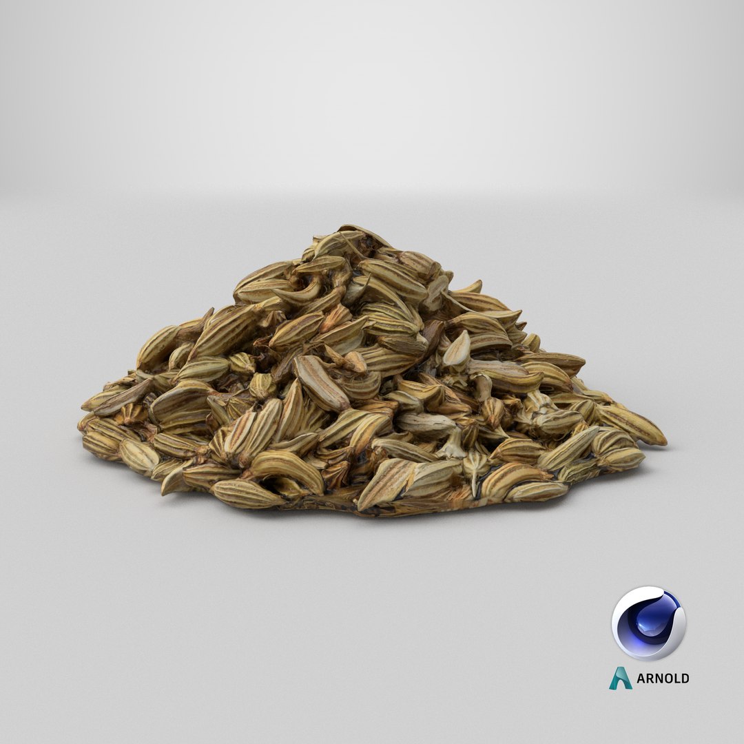 3D Fennel seeds model https://p.turbosquid.com/ts-thumb/Ns/A7vgEC/DX/stemcell_cinema_4d_arnold_render/png/1765484782/1920x1080/fit_q87/a09eab2dd70ca6f93cb257c12e94f262a43e3acc/stemcell_cinema_4d_arnold_render.jpg