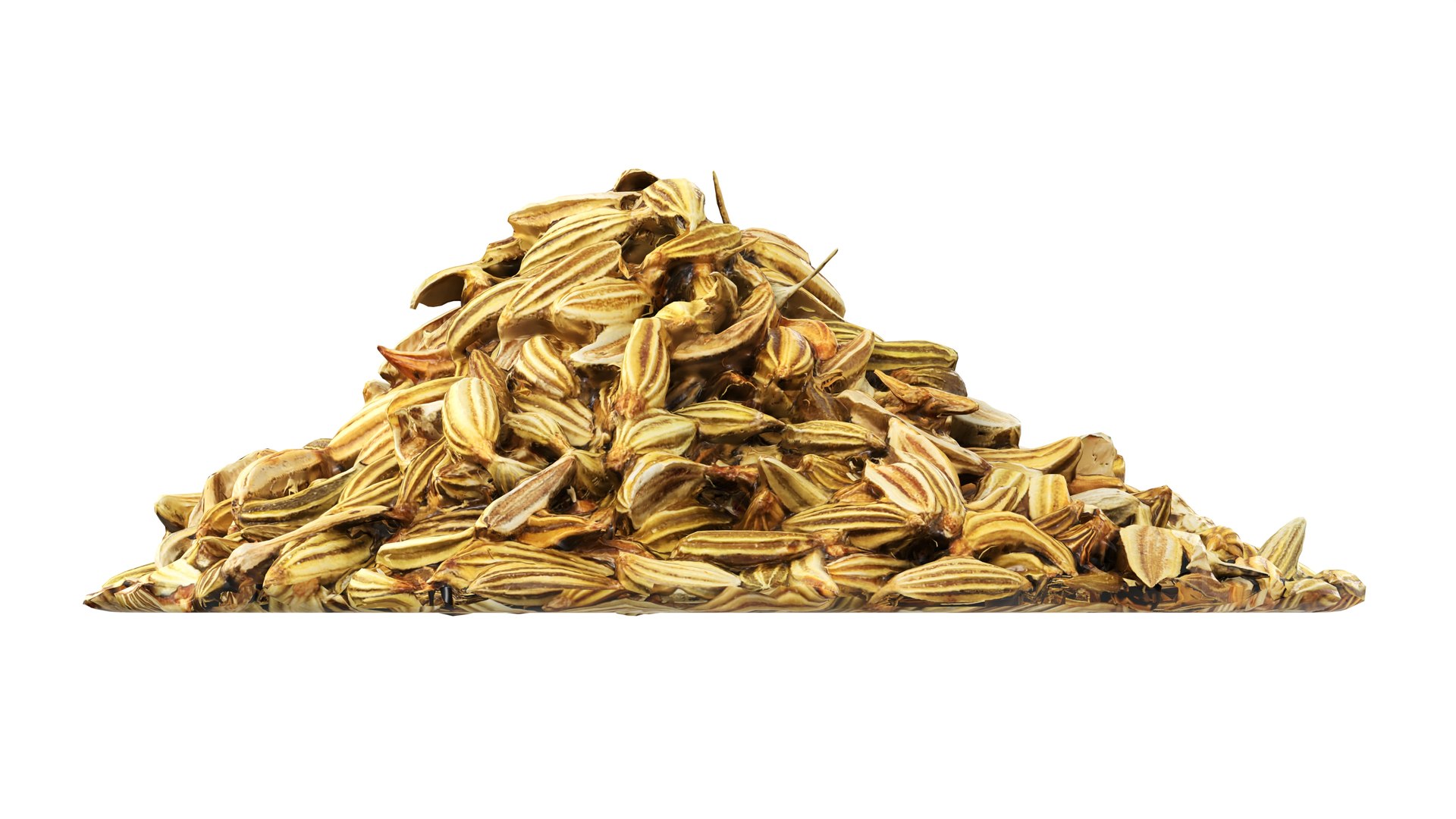 3D Fennel seeds model https://p.turbosquid.com/ts-thumb/Ns/A7vgEC/Kg/005/jpg/1765197165/1920x1080/fit_q87/10459fe6e6c57439420ae55a39bb21ef4cdaa752/005.jpg