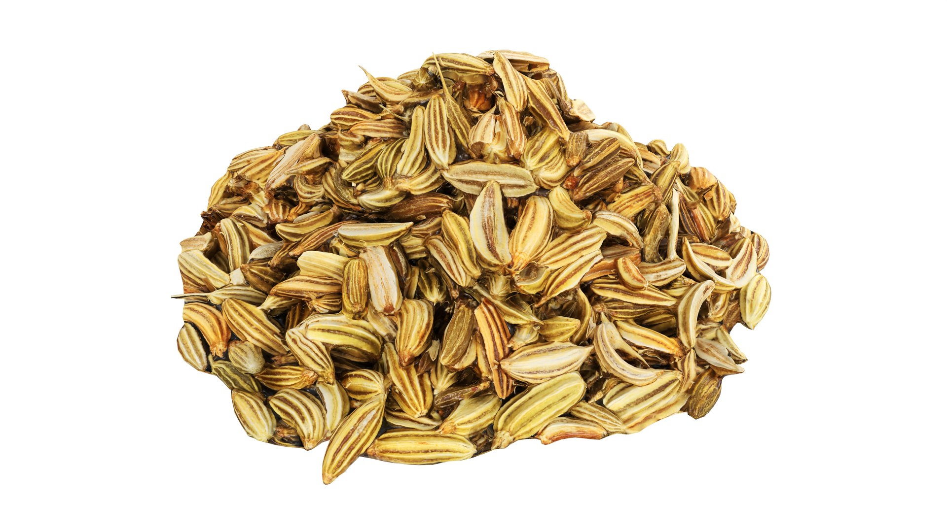 3D Fennel seeds model https://p.turbosquid.com/ts-thumb/Ns/A7vgEC/MK/003/jpg/1765197165/1920x1080/fit_q87/02f3512070d38440476d49de173fbee4911f43d6/003.jpg