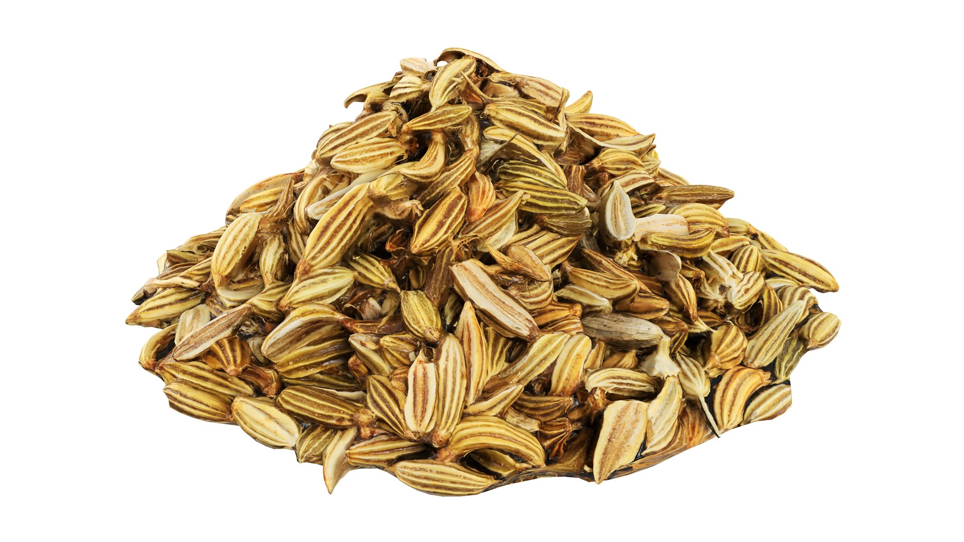 3D Fennel seeds model https://p.turbosquid.com/ts-thumb/Ns/A7vgEC/Ww/002/jpg/1765197163/1920x1080/fit_q87/5f566b38d9fdf15a218345c41a37483fe889819e/002.jpg