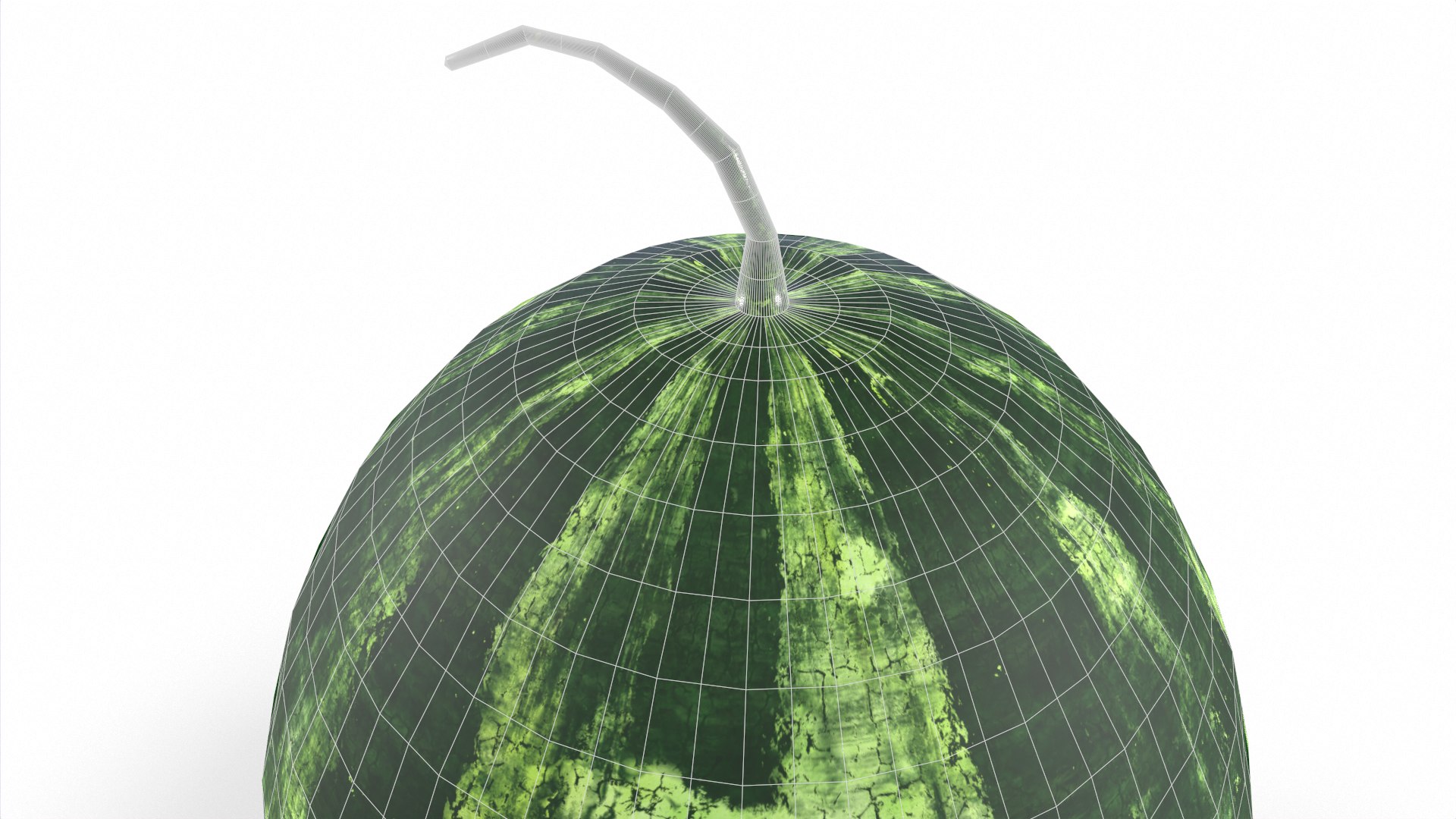 3D Watermelon model https://p.turbosquid.com/ts-thumb/Ns/dbKYyD/bJ/tbrender_008/png/1648905115/1920x1080/fit_q87/23f4ffc794fd0cfb2631b981683b01608c433f96/tbrender_008.jpg