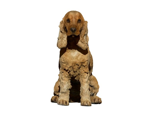 3D photogrammetry dog