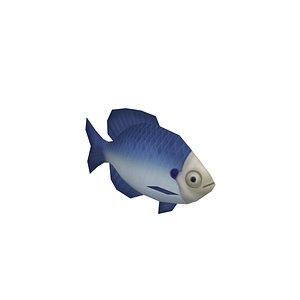 Bluegill