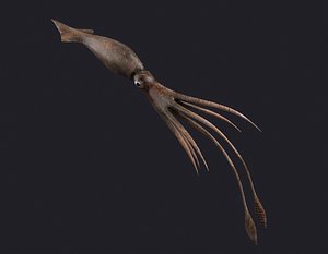 ocean king squid giant 3D