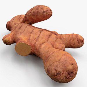 Fresh Turmeric Rhizome with Cut Cross-Section