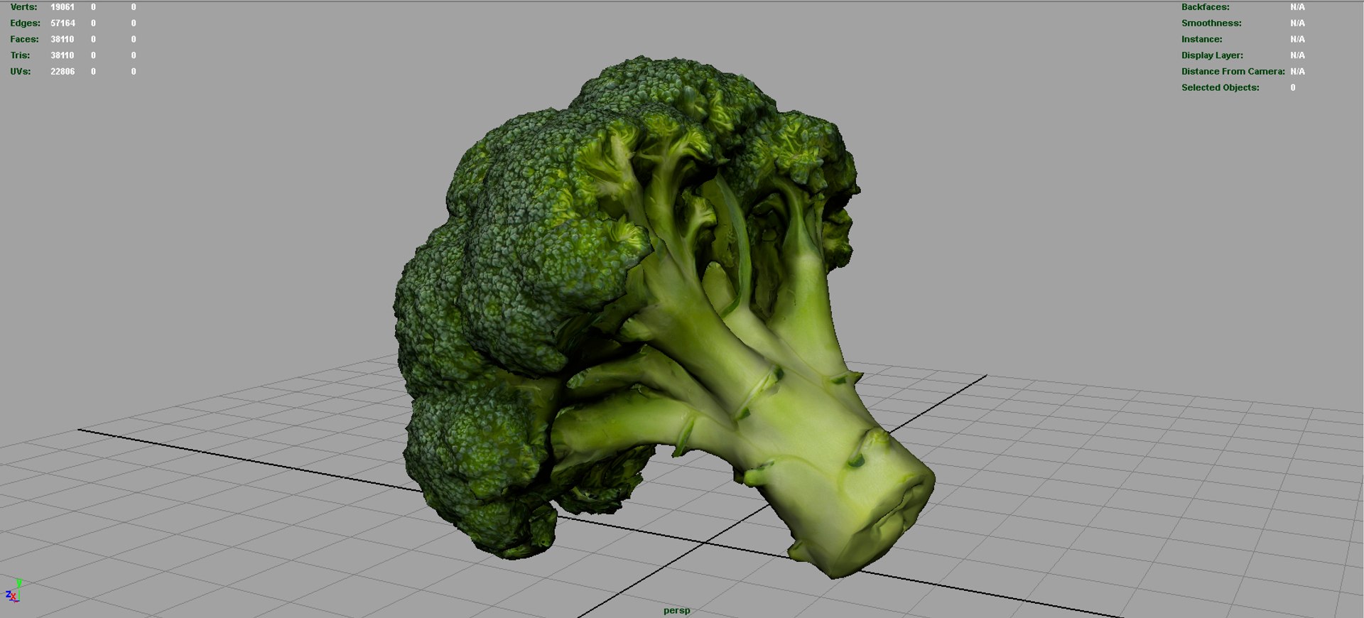 Broccoli 3d Model