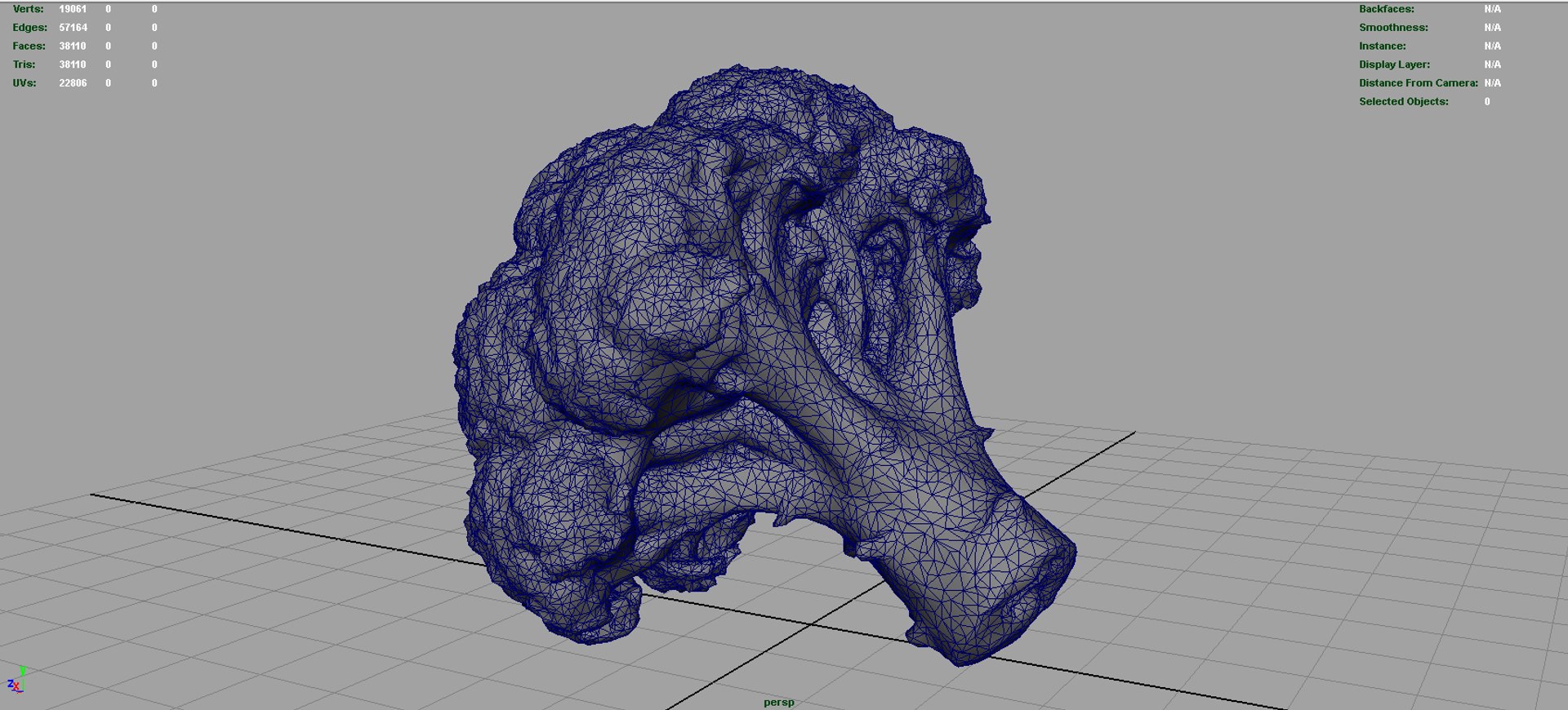 Broccoli 3d Model