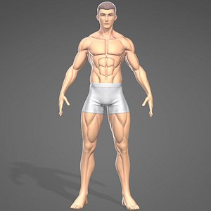 3D male stylistic base body muscle model