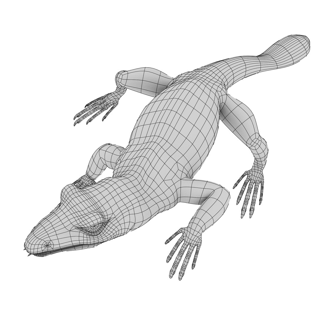 lizard 3d obj https://p.turbosquid.com/ts-thumb/Nt/HDOEuc/FvmnWAeZ/lizard_01/png/1446665143/1920x1080/fit_q87/a3717044b60fb34a77e84867df2f01f2d9c6fef4/lizard_01.jpg