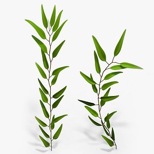 3ds max branch eucalyptus