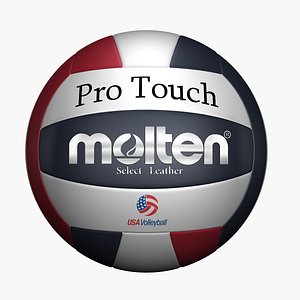 Molten Volleyball