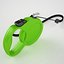 dog leash 3d obj