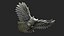 Hibou