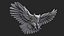 Hibou