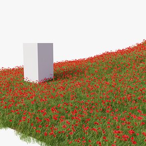 3D Poppy Field model
