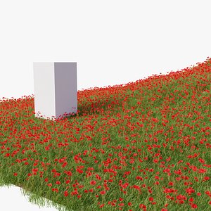 Poppy Field