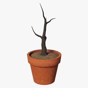 3D Dried Plant in a Pot