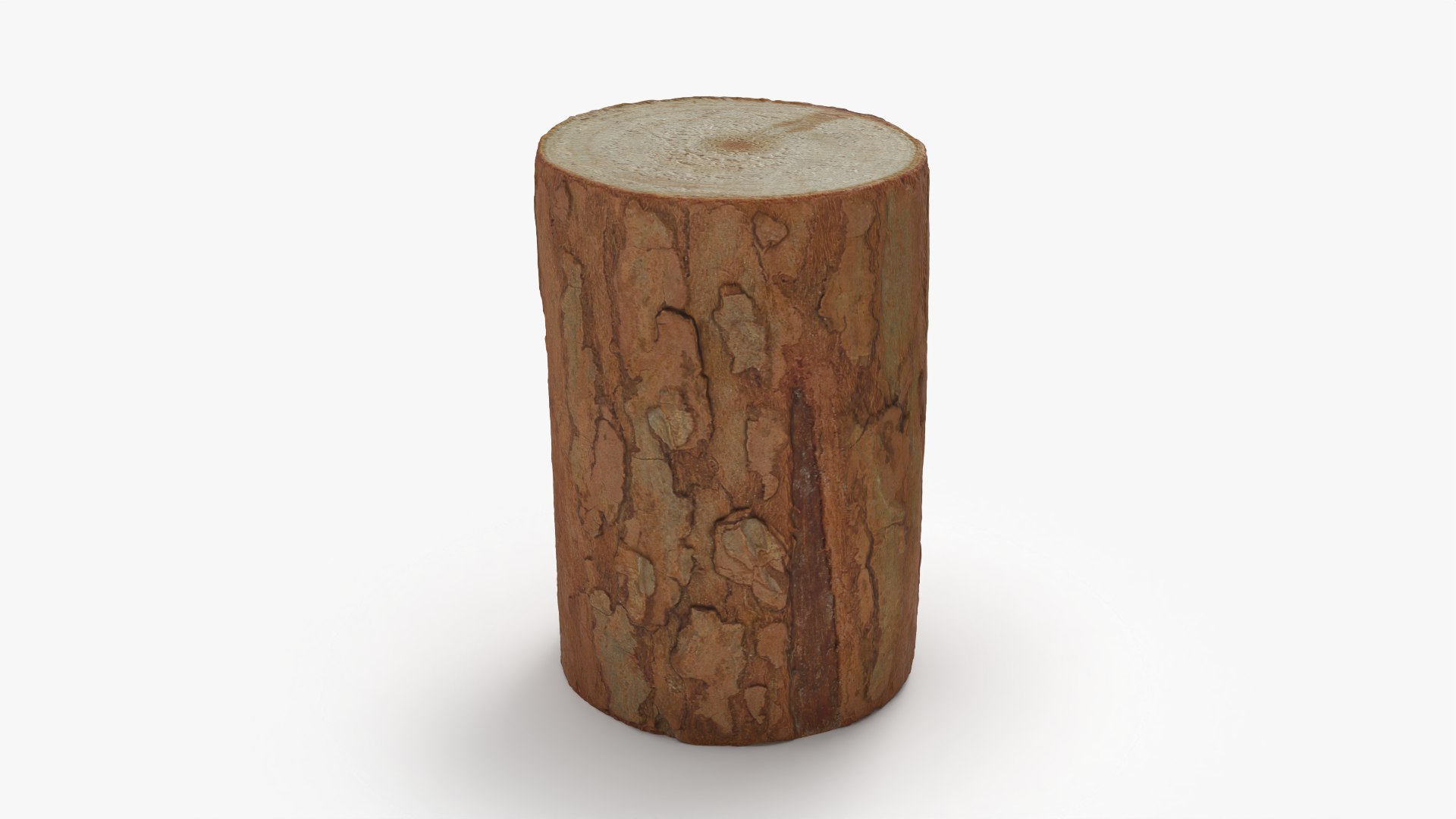 3D Wood Log 05 - 3D Scanned https://p.turbosquid.com/ts-thumb/Nu/WtljKM/BF/woodlog05_0008/png/1774347045/1920x1080/fit_q87/a74272ae50f298b9b136232200e85bf7257ffa8f/woodlog05_0008.jpg