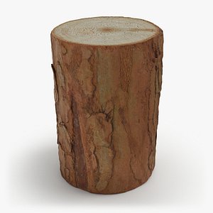 3D Wood Log 05 - 3D Scanned