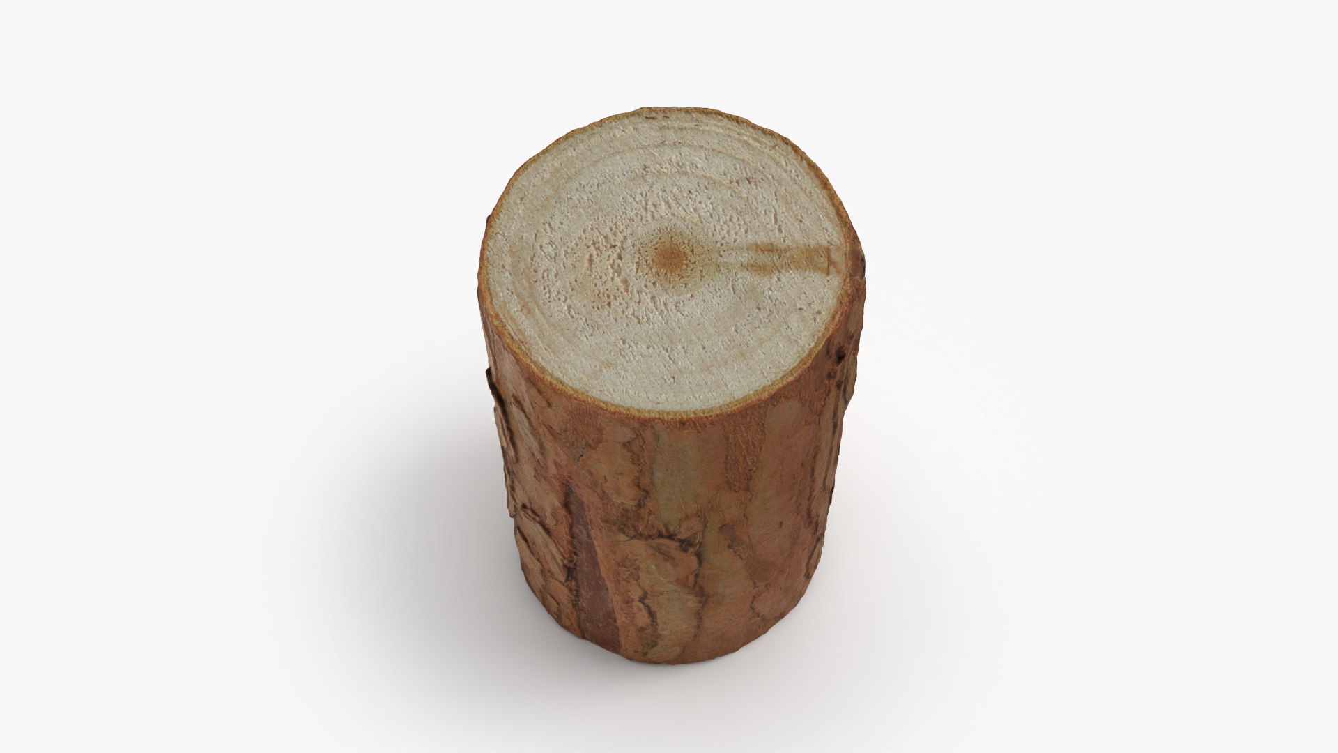 3D Wood Log 05 - 3D Scanned https://p.turbosquid.com/ts-thumb/Nu/WtljKM/EG/woodlog05_0003/png/1774347037/1920x1080/fit_q87/9b3e7dabc87f17999cfe3f53a840af55fc236e72/woodlog05_0003.jpg