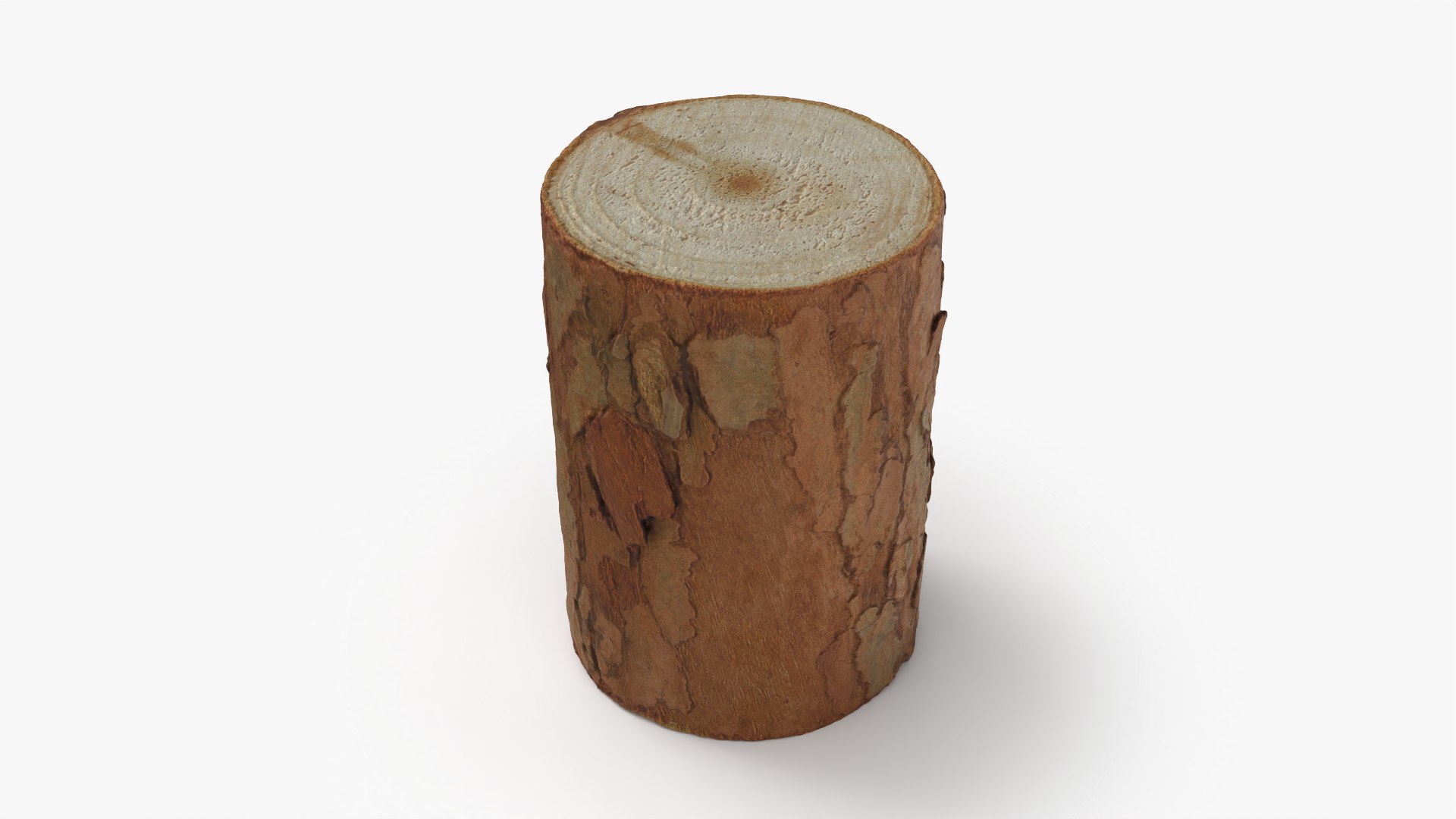 3D Wood Log 05 - 3D Scanned https://p.turbosquid.com/ts-thumb/Nu/WtljKM/nT/woodlog05_0010/png/1774347048/1920x1080/fit_q87/02fabb6f25edef8cbdb32d3491267a847345e2fc/woodlog05_0010.jpg