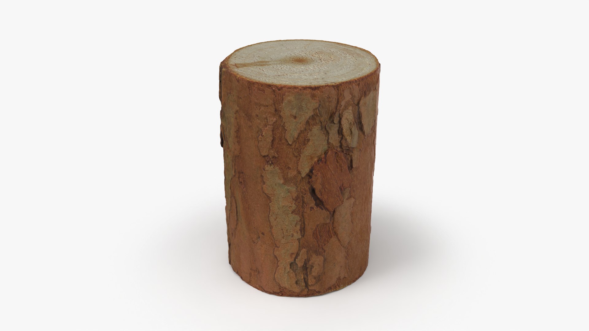 3D Wood Log 05 - 3D Scanned https://p.turbosquid.com/ts-thumb/Nu/WtljKM/zu/woodlog05_0004/png/1774347037/1920x1080/fit_q87/171f2bcf799aedac75821fd165643dfbdbd70fbf/woodlog05_0004.jpg