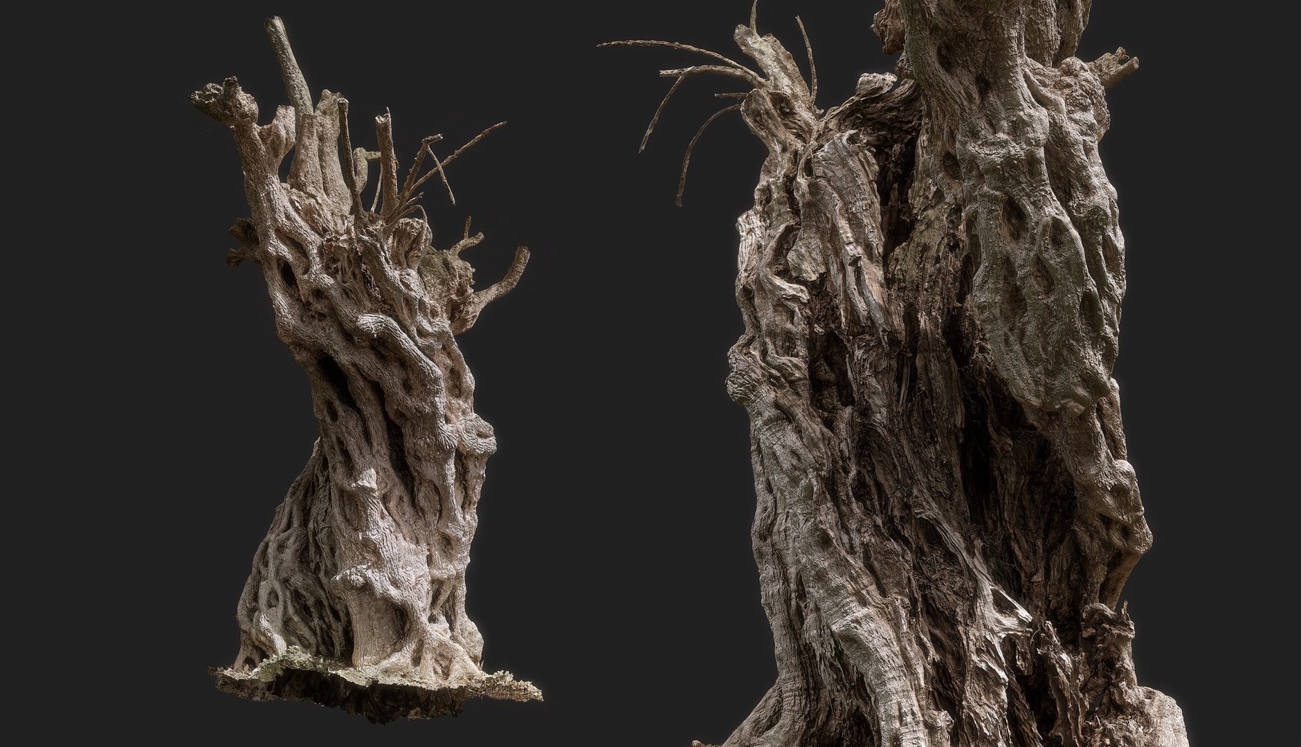 3D Real-time Game Version - Giant Ancient Cracked Olive Tree 1 model https://p.turbosquid.com/ts-thumb/Nu/heKakJ/jO/realtimeancientcrackedolivetree_3/png/1753289509/1920x1080/fit_q87/b9c69f94c188dbc77977325b87dafab431315536/realtimeancientcrackedolivetree_3.jpg