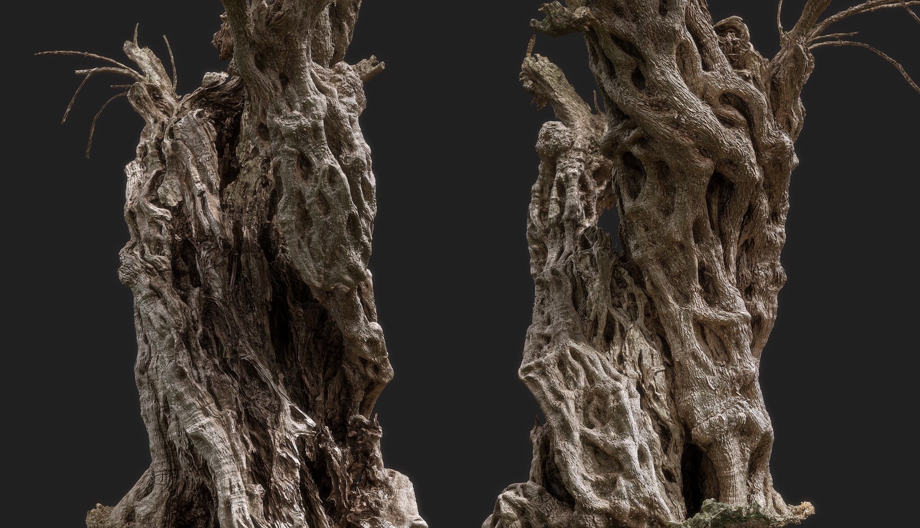 3D Real-time Game Version - Giant Ancient Cracked Olive Tree 1 model https://p.turbosquid.com/ts-thumb/Nu/heKakJ/rA/realtimeancientcrackedolivetree_/png/1753289509/1920x1080/fit_q87/d015a53ba87c69616a279e41c61c2cc79f5ac595/realtimeancientcrackedolivetree_.jpg