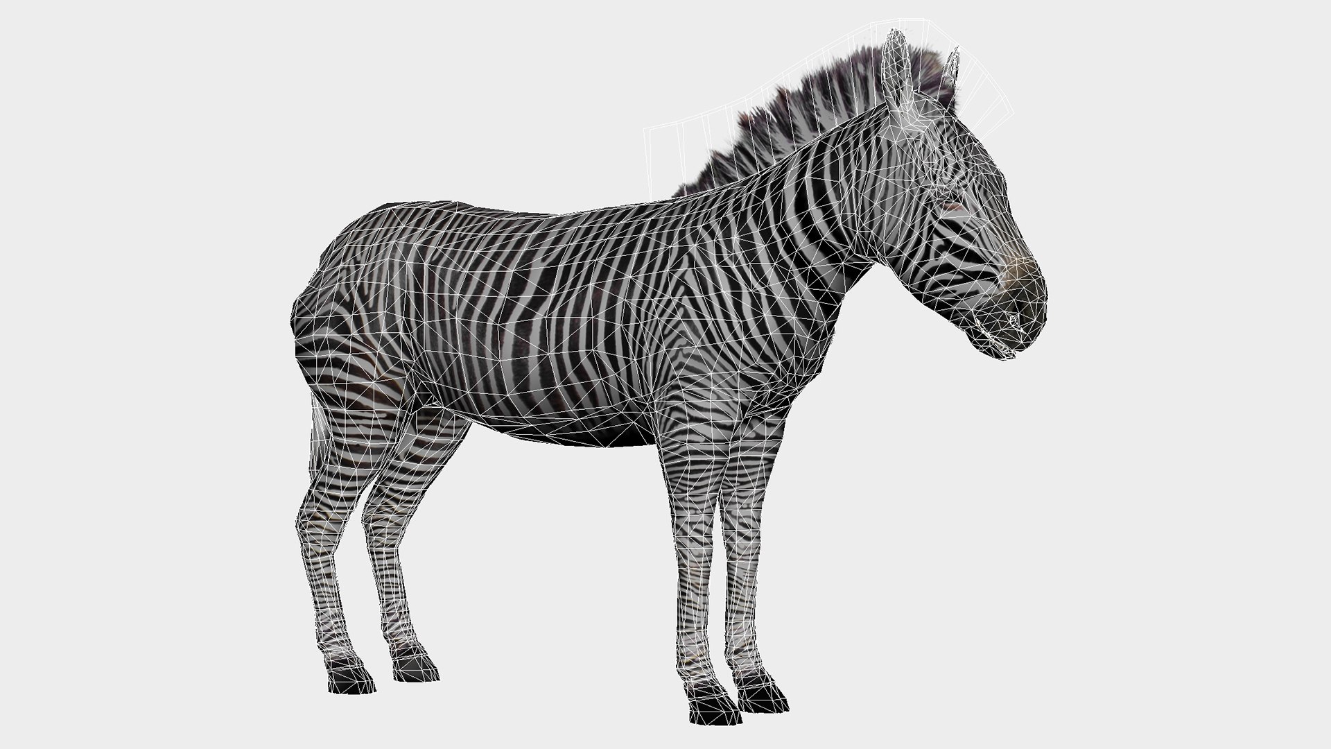3D Lowpoly Zebra Animated For VR AR Games Model - TurboSquid 2059456