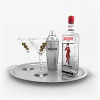 Beefeater Gin Martini Set