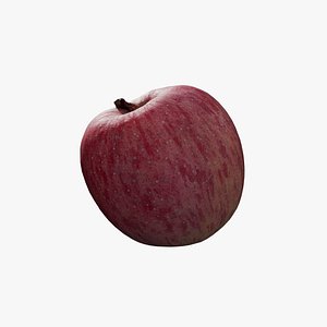 Anydrafts Apple 08 3D model