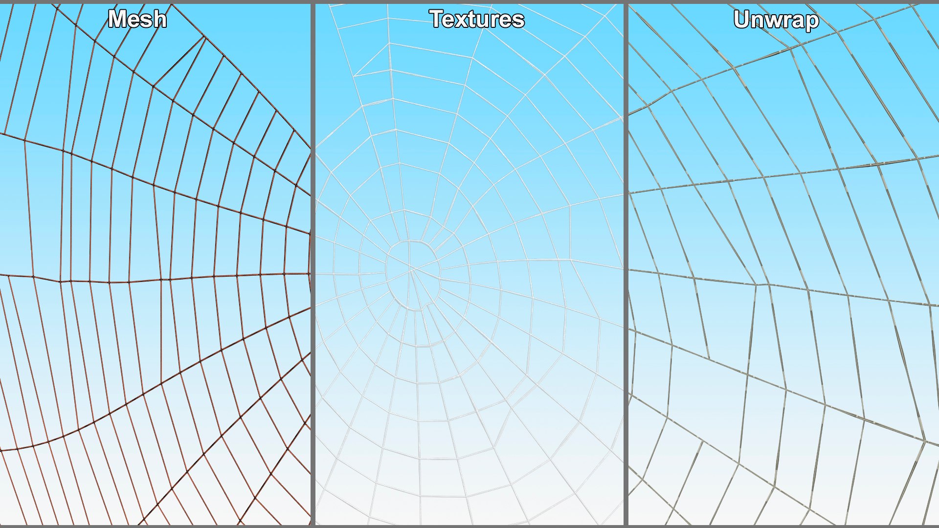 3D Spider Web In Circle Shape - TurboSquid 2206702